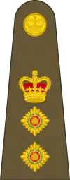 Colonel