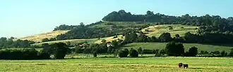 photographie panoramique présentant les pâturage au pied de la colline de Bassebourg