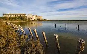 Les Salins de Frontignan.