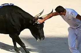 Image illustrative de l’article Sabri Allouani