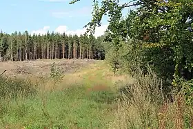 La chaussée romaine