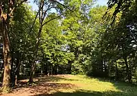 Image illustrative de l’article Château de Baldern