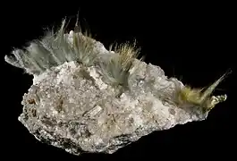 Byssolite - Vallée d'Aure France (8&nbsp;×&nbsp;4&nbsp;cm)