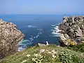 Deux falaises séparées par la mer (rochers escarpés). Au centre, de l'herbe et un goéland. Ciel bleu dégagé.