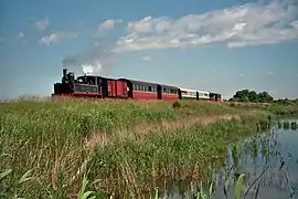 Locomotive 130T Cail 2 et train de voyageurs, digue de Noyelles- Saint-Valery, mollières (2009).