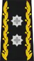 Divisionnaire (commandant d'une région territoriale, chef de l'État-Major de l'Armée) (div)