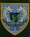 Insigne du CJF 10 (1er&nbsp;modèle).