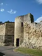 Tour Puchot (rue du Carel).