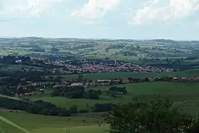 Campina do Monte Alegre