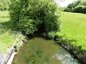 Le bras oriental du canal des Moulins au lieu-dit Moulin Neuf.