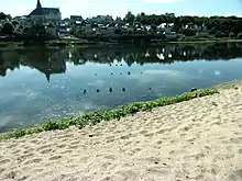 Photographie en couleurs d'alignements de pieux dans un cours d'eau.