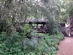 Le canyon des léopards.