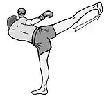 Coup de pied arrière en aéro-kick et en musical forms (karaté artistique)