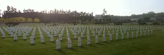 Carré C musulman à la nécropole nationale de la Doua.