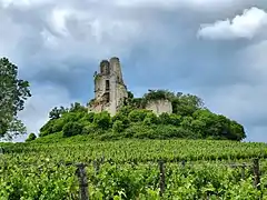 Les ruines du château de Gurson.