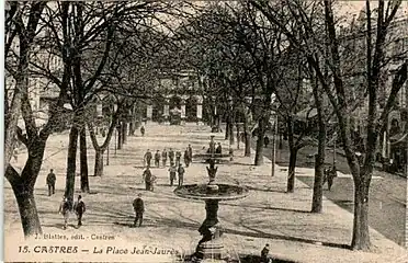 La place Jean-Jaurès et ses grands ormeaux au début du XXe&nbsp;siècle