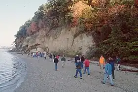 Image illustrative de l’article Formation de Yorktown