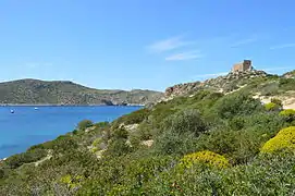 Le château de Cabrera.