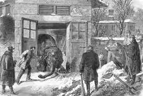 Un des éléphants du zoo de Paris vient d'être fusillé pour fournir de la viande pendant le siège de Paris.