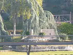 Les ruines du château de Sort.