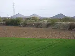 Cavalier minier[Où&nbsp;?].