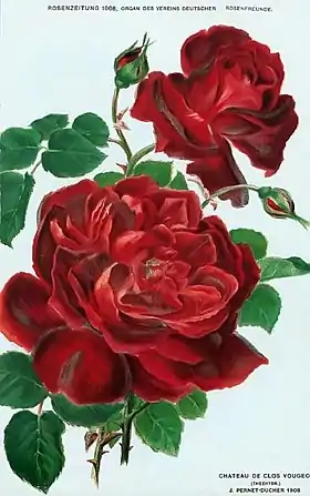 Image illustrative de l’article Château de Clos-Vougeot