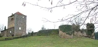 Image illustrative de l’article Château de Dyo