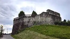 Image illustrative de l’article Château de Bonne