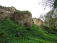 Le château de Montafilan.