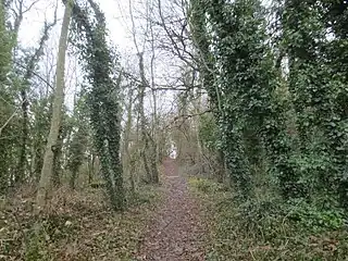 Chemin d'accès depuis Reulle-Vergy au nord.