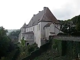 Image illustrative de l’article Château du Châtelet