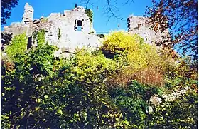 Image illustrative de l’article Château du Frankenbourg