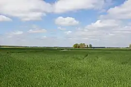 Pays de Bière (et clocher de l'église de Chailly en fond).