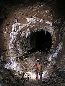Galerie des Onze Heures.