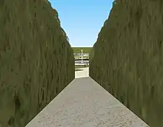 Schéma de l'allée depuis le deuxième belvédère, en regardant le jet d'eau situé devant le château. XVIIIe siècle.