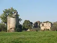 Les ruines du Château de Machecoul.