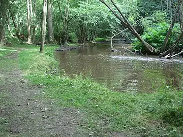 Chemins de l'Astrée, Le Lignon du Forez