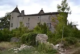 Image illustrative de l’article Château de Chenavel