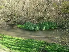 l'Ancre à Chennegy.