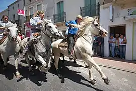 Équitation Camargue
