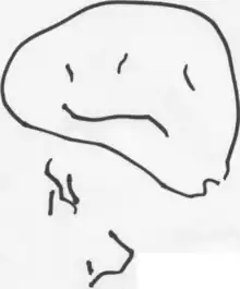 Dessin d'un bonhomme par un enfant âgé de 2 ans et demi.