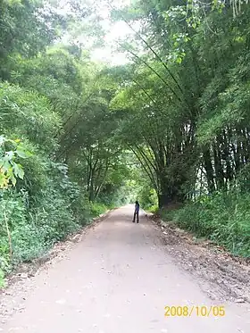 Simón Bolívar (Bejuma)