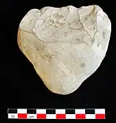 Galet aménagé taillé sur une seule face, servant d'outil