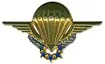 Brevet des Chuteurs Opérationnels pour les saut à 1200,3500,6500m (GCP et CPA) un insigne existe quasi identique dans l'Armée de l'Air pour les CPA