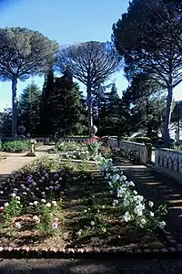 La terrasse des roses.