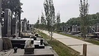 Allée du cimetière de Roubaix.