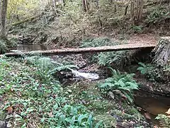 Circuit des cascades à Carrigas