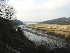 Des arbres au premier plan, puis la rivière dans une vallée élargie.
