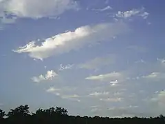 Altocumulus radiatus