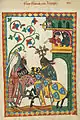Dans le Codex Manesse, Frédéric II de Linange (début XIVe&nbsp;siècle)